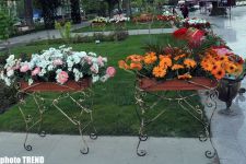 Holiday of Flowers celebrated in parks in Baku - PHOTO SESSION